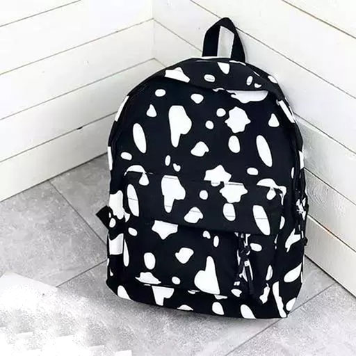 Stylish And Trendy Backpack