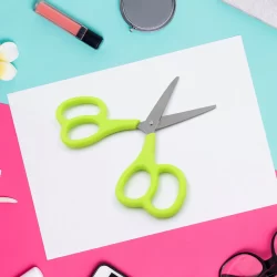 Stainless Steel Double Grip Scissors